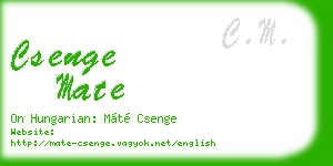 csenge mate business card